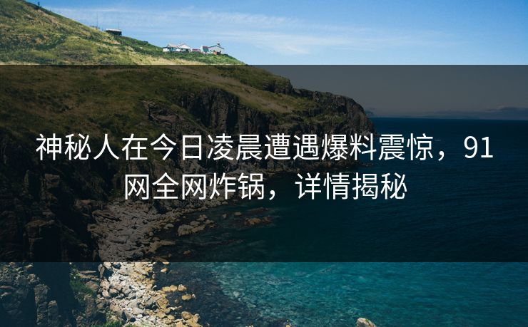 神秘人在今日凌晨遭遇爆料震惊，91网全网炸锅，详情揭秘