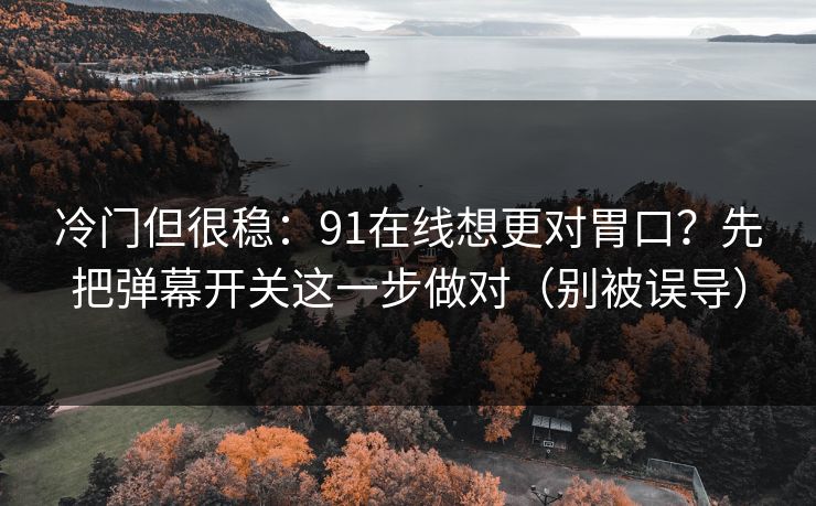 冷门但很稳：91在线想更对胃口？先把弹幕开关这一步做对（别被误导）